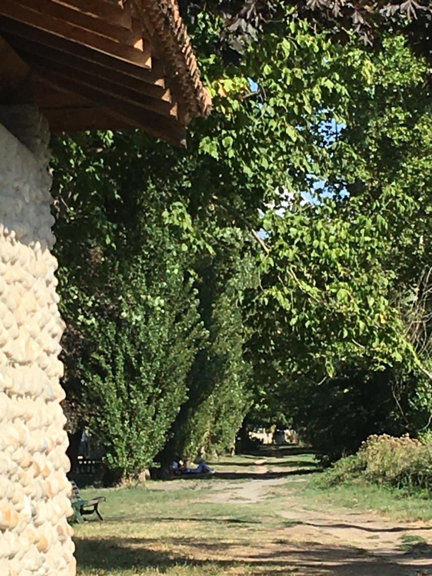 La Villa De Lise Romans-sur-Isère Exterior foto